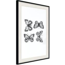 Arkiio Affisch Four Butterflies [Poster] 20x30 Poster